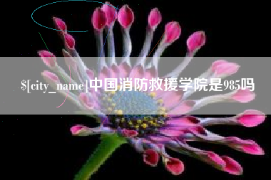 云南中国消防救援学院是985吗