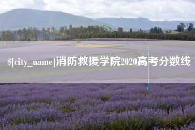 云南消防救援学院2020高考分数线