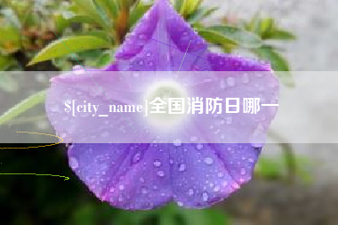 云南全国消防日哪一