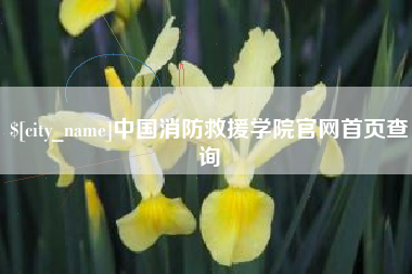 云南中国消防救援学院官网首页查询