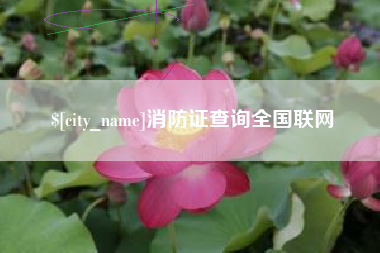 云南消防证查询全国联网