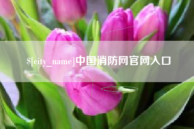 云南中国消防网官网入口