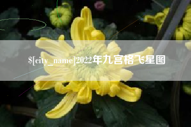云南2022年九宫格飞星图