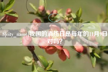 云南我国的消防日是每年的11月9日对吗？