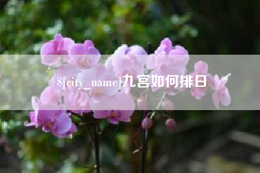 云南九宫如何排日