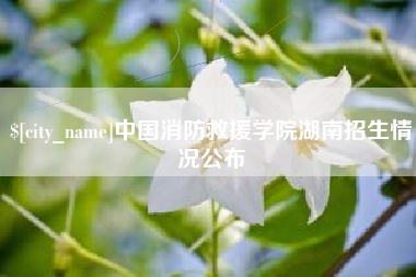 云南中国消防救援学院湖南招生情况公布