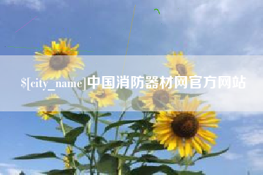 云南中国消防器材网官方网站