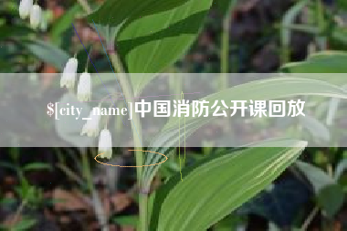 云南中国消防公开课回放