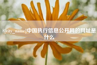 云南中国执行信息公开网的网址是什么