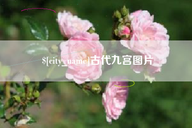 云南古代九宫图片