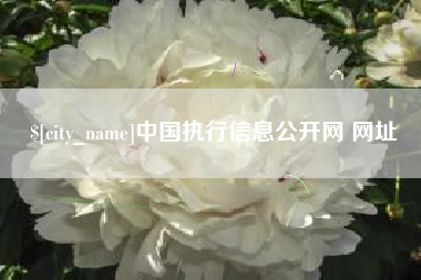 云南中国执行信息公开网 网址