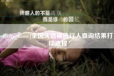 云南全国失信被执行人查询结果打印流程
