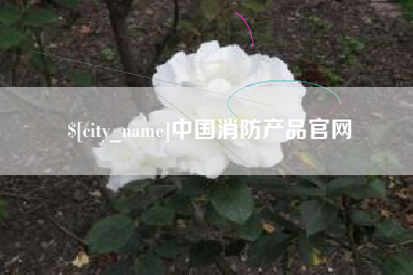 云南中国消防产品官网