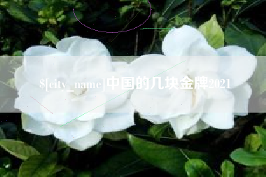 云南中国的几块金牌2021