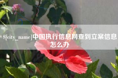 云南中国执行信息网查到立案信息怎么办