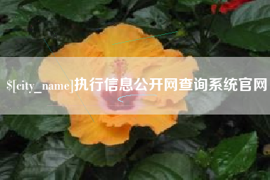 云南执行信息公开网查询系统官网