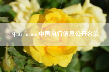 云南中国执行信息公开名单