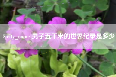 云南男子五千米的世界纪录是多少