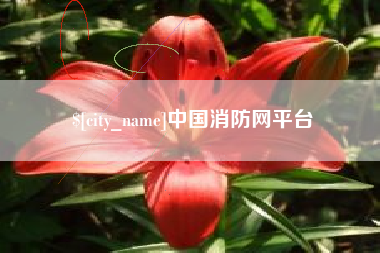 云南中国消防网平台