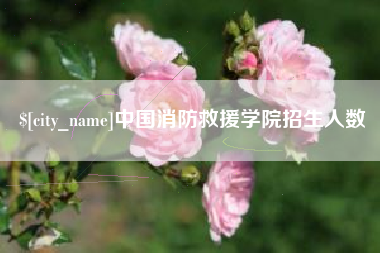 云南中国消防救援学院招生人数
