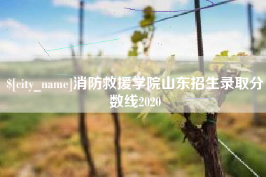 云南消防救援学院山东招生录取分数线2020