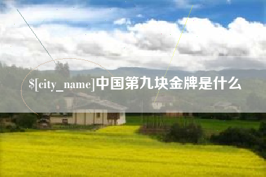 云南中国第九块金牌是什么
