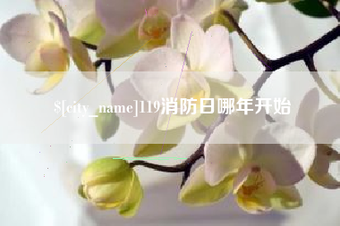 云南119消防日哪年开始