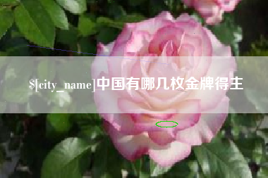 云南中国有哪几枚金牌得主