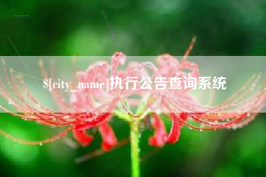 云南执行公告查询系统