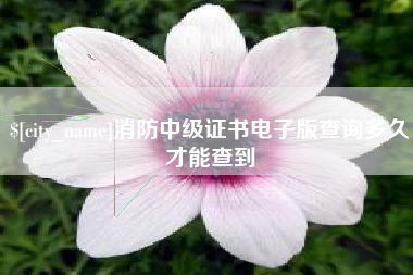 云南消防中级证书电子版查询多久才能查到