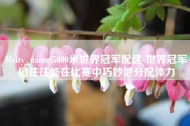 云南5000米世界冠军配速-世界冠军们往往能在比赛中巧妙地分配体力