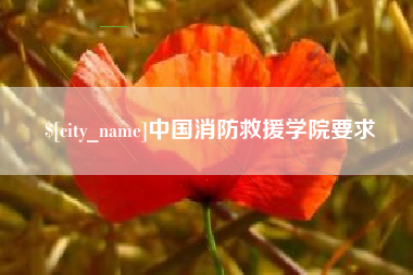 云南中国消防救援学院要求