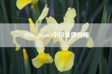 云南中国金牌包括