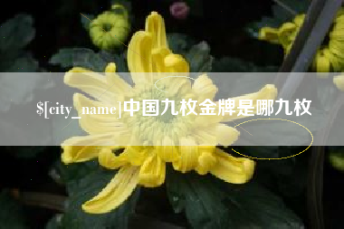 云南中国九枚金牌是哪九枚