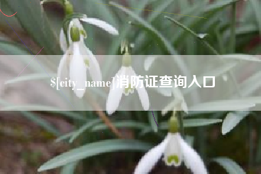 云南消防证查询入口