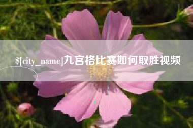 云南九宫格比赛如何取胜视频