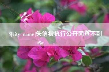 云南失信被执行公开网查不到