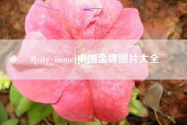 云南中国金牌图片大全