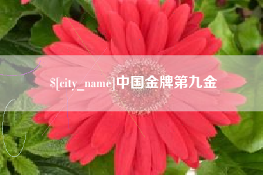 云南中国金牌第九金