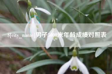 云南男子5000米年龄成绩对照表