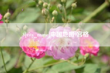 云南中国地图9宫格