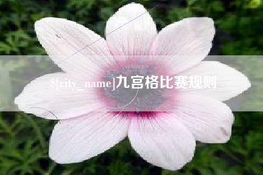 云南九宫格比赛规则