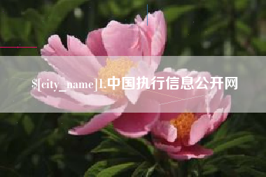 云南1.中国执行信息公开网