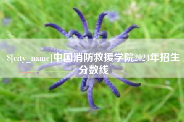 云南中国消防救援学院2024年招生分数线
