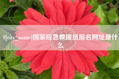 云南国家应急救援员报名网址是什么