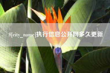 云南执行信息公开网多久更新