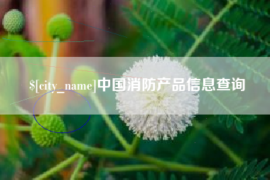 云南中国消防产品信息查询