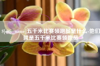云南五千米比赛领跑员是什么-他们就是五千米比赛领跑员