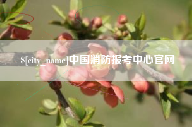 云南中国消防报考中心官网