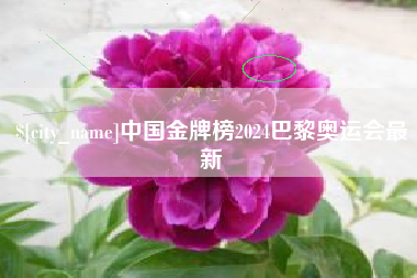 云南中国金牌榜2024巴黎奥运会最新